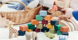 亚马逊不同国家|玩具法规要求指南